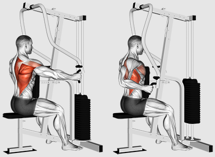 Kas peaksime keskenduma ridadele või tõmbetele paremaks treenimiseks?