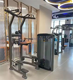 plate-loaded assisted pull-up and dip machine