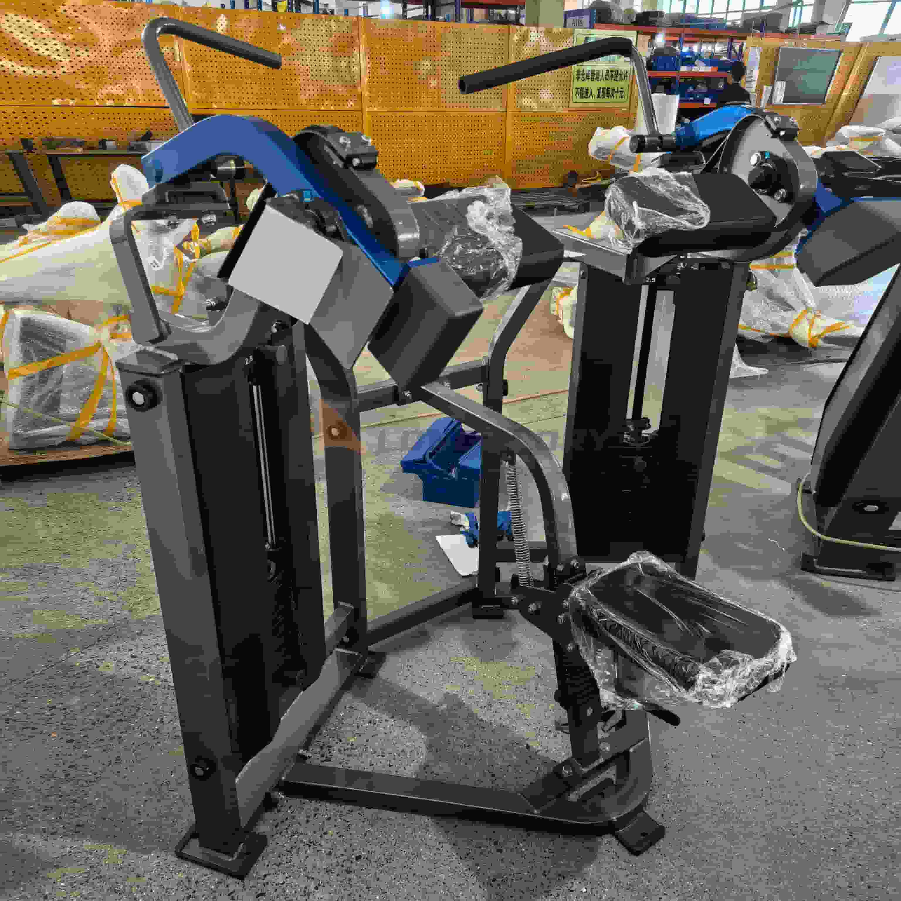 Iso Lateral Biceps Machine